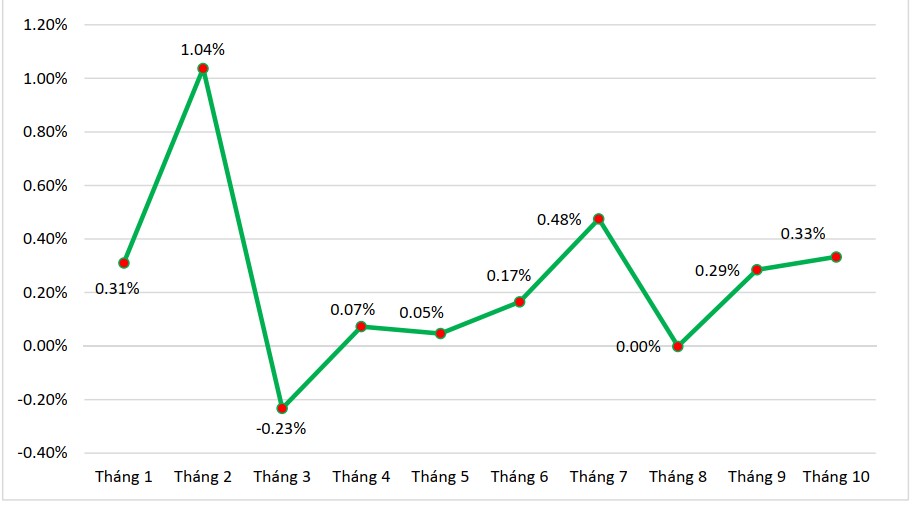 CPI tháng 10/2024 tăng 0, 33% so với tháng trước